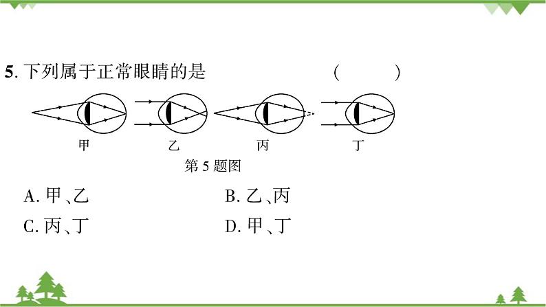 3.7第1课时眼睛是怎样看见物体的第7页