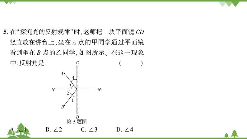 3.2第1课时光的反射现象光的反射规律第5页