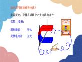 教科版物理九年级上册 8.1.电磁感应现象课件