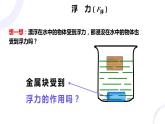 10.1《浮力》课件+--2023-2024学年人教版物理八年级下册