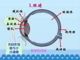 人教版物理八年级上册 第5章第4节 眼睛和眼镜课件
