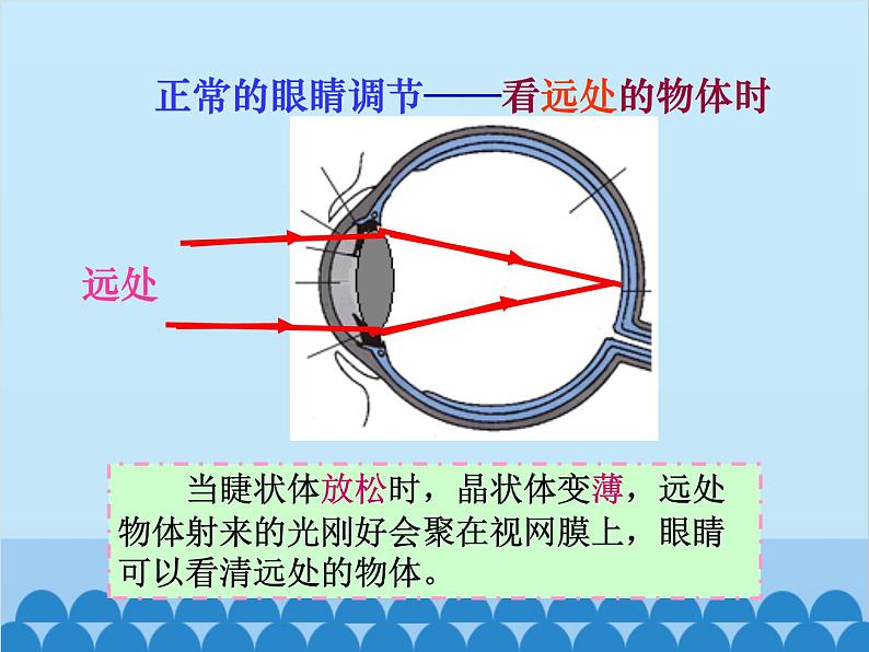 人教版物理八年级上册 第5章第4节 眼睛和眼镜课件第6页
