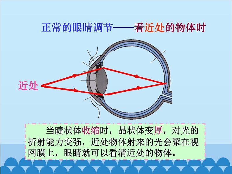 人教版物理八年级上册 第5章第4节 眼睛和眼镜课件第7页