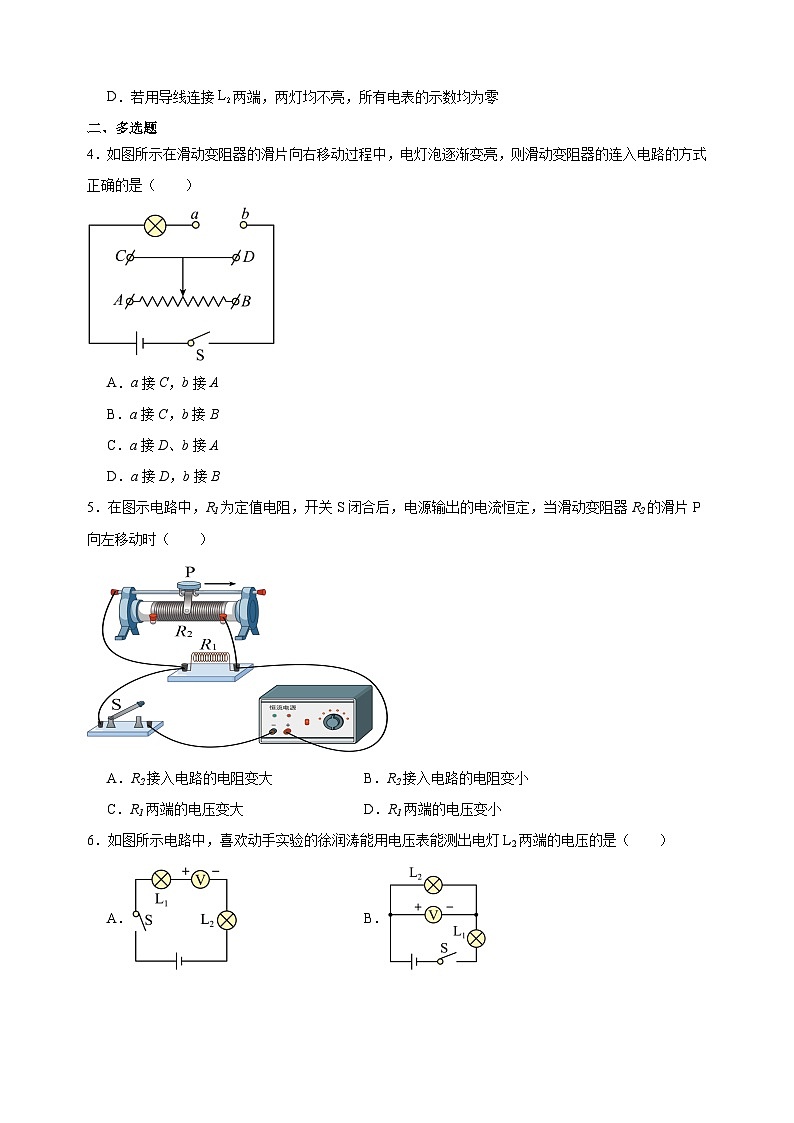专题06 电压、电阻-九年级物理上学期期中真题分类汇编02