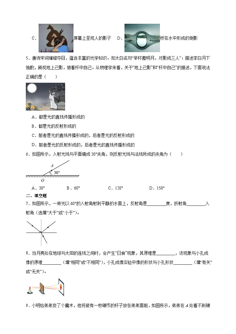 专题07 光的直线传播、光的反射和折射-八年级物理上学期期中真题分类汇编第2页