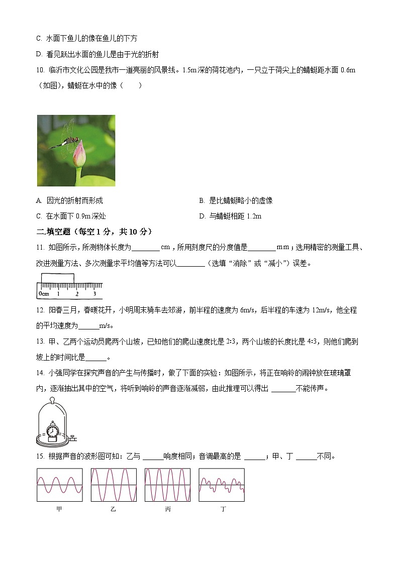 山东省济宁市鱼台县2023-2024学年八年级上学期期中考试物理试题（原卷版+解析版）03