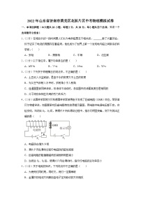 2022年山东省济南市莱芜区花园片区中考物理模拟试卷