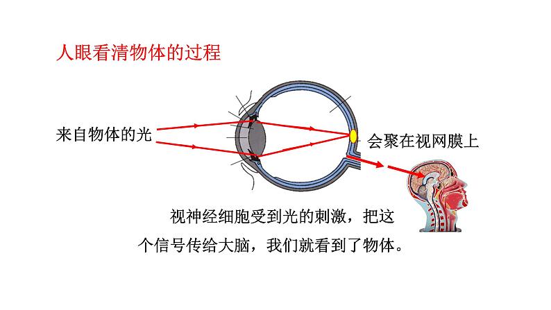 人教版物理八年级上册 第5章第4节  眼睛和眼镜课件07
