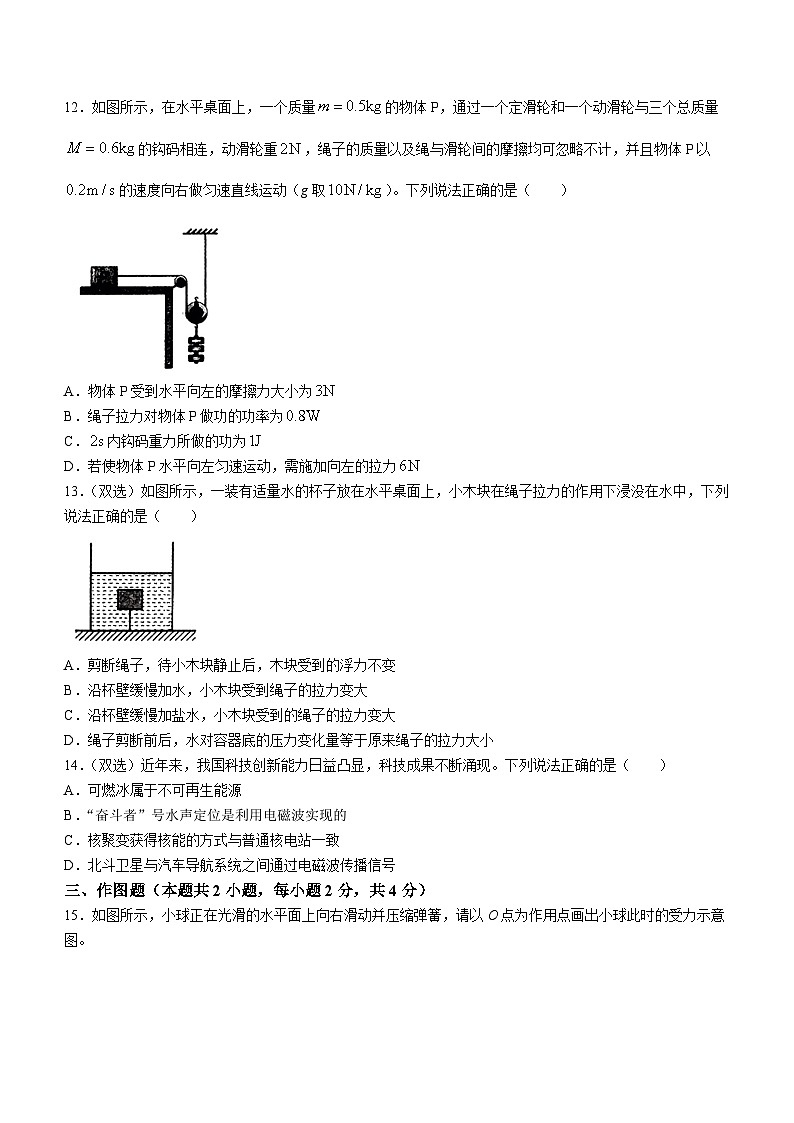 2024年河南省驻马店市遂平县中考一模物理试题第3页