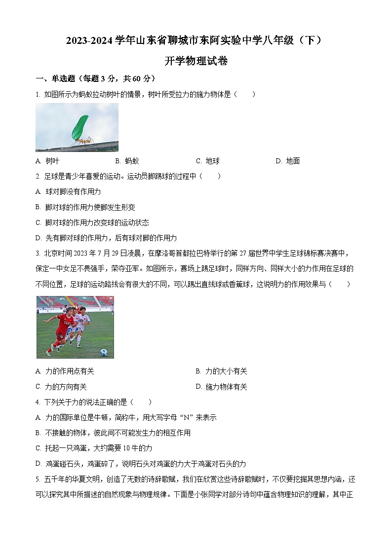 精品解析：山东省聊城市东阿实验中学2023-2024学年八年级下学期开学物理试题（原卷版）第1页