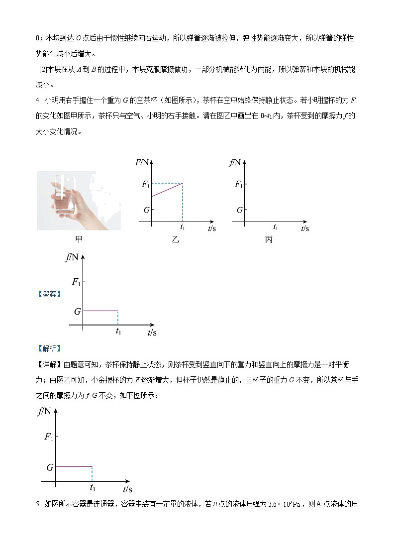 安徽省六安市2023-2024学年九年级下学期开学测评物理试题（原卷版+解析版）02