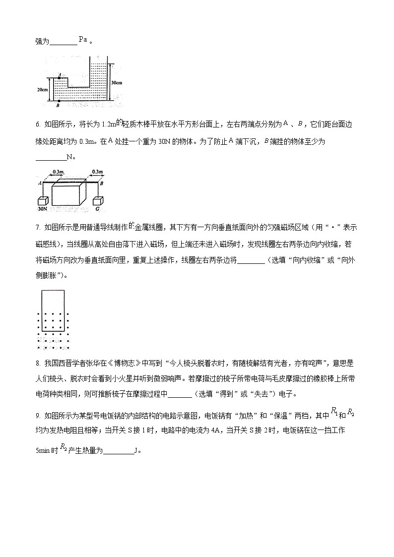 安徽省六安市2023-2024学年九年级下学期开学测评物理试题（原卷版+解析版）02