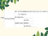 人教版物理八年級(jí)上冊(cè) 第二章 聲現(xiàn)象習(xí)題課件