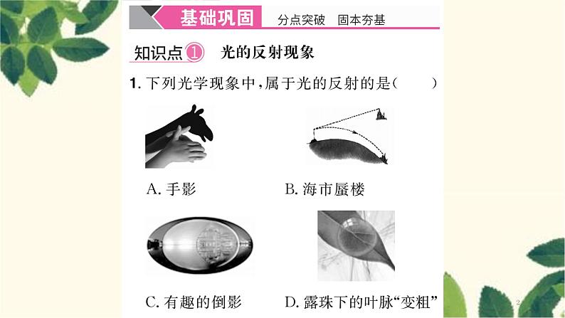 第2节 光的反射第2页