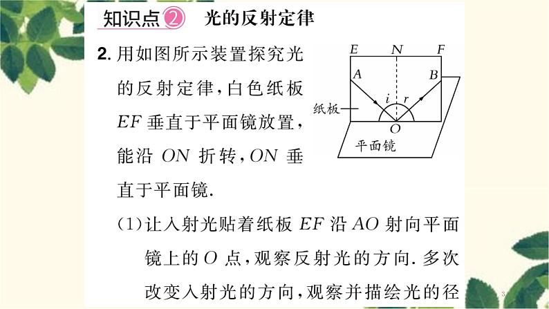 第2节 光的反射第3页