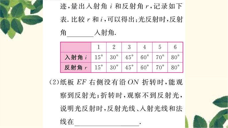 第2节 光的反射第4页