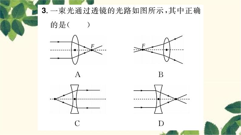 第1节 透镜第4页