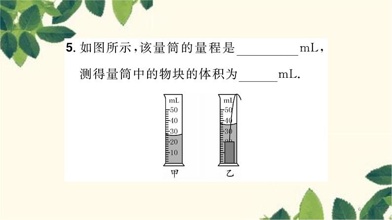 人教版物理八年级上册 期末复习 专项训练习题课件06