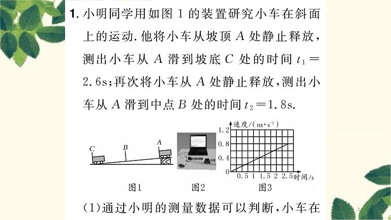 人教版物理八年级上册 期末复习 专项训练习题课件02