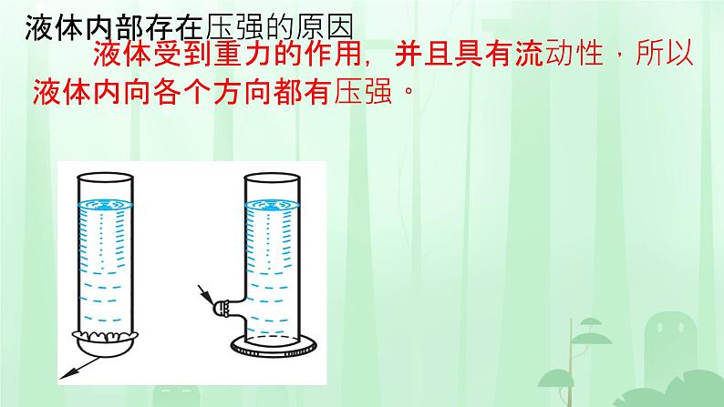 9.2液体的压强课件`--2023-2024学年人教版物理八年级下册第3页