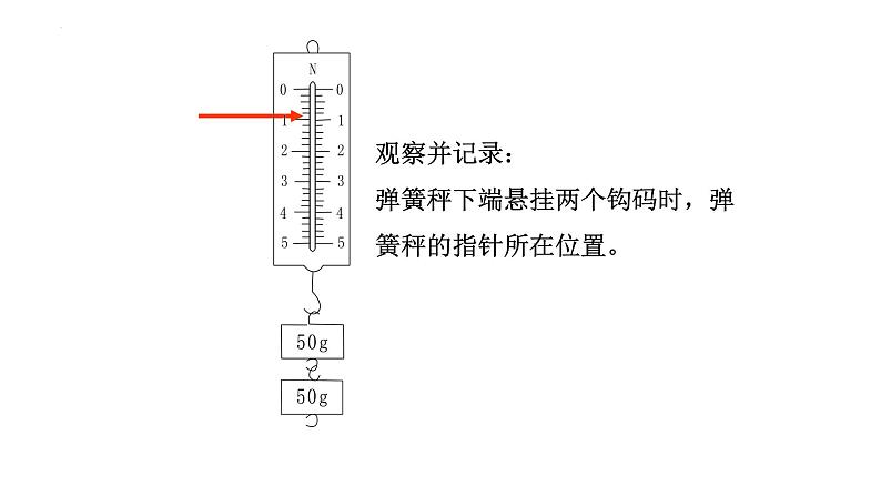 7.3重力课件--2023-2024学年人教版物理八年级下学期 (5)08