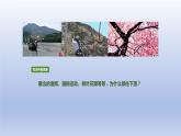 7.3重力课件--2023-2024学年人教版物理八年级下学期 (4)