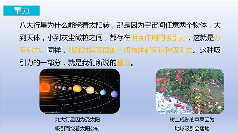 7.3重力课件--2023-2024学年人教版物理八年级下学期 (4)第3页