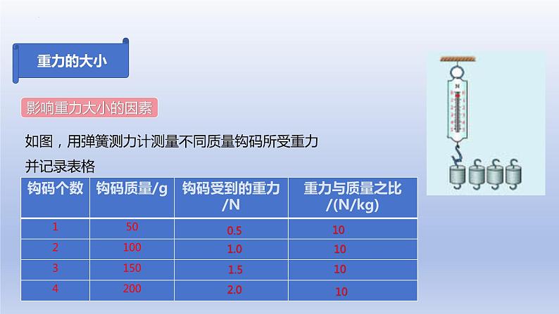 7.3重力课件--2023-2024学年人教版物理八年级下学期 (4)第7页