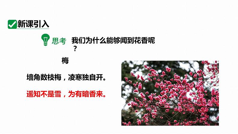 13.1分子热运动 课件 2023-2024学年人教版物理九年级下册第2页