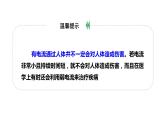 19.3安全用电 课件 2023-2024学年人教版物理九年级下册