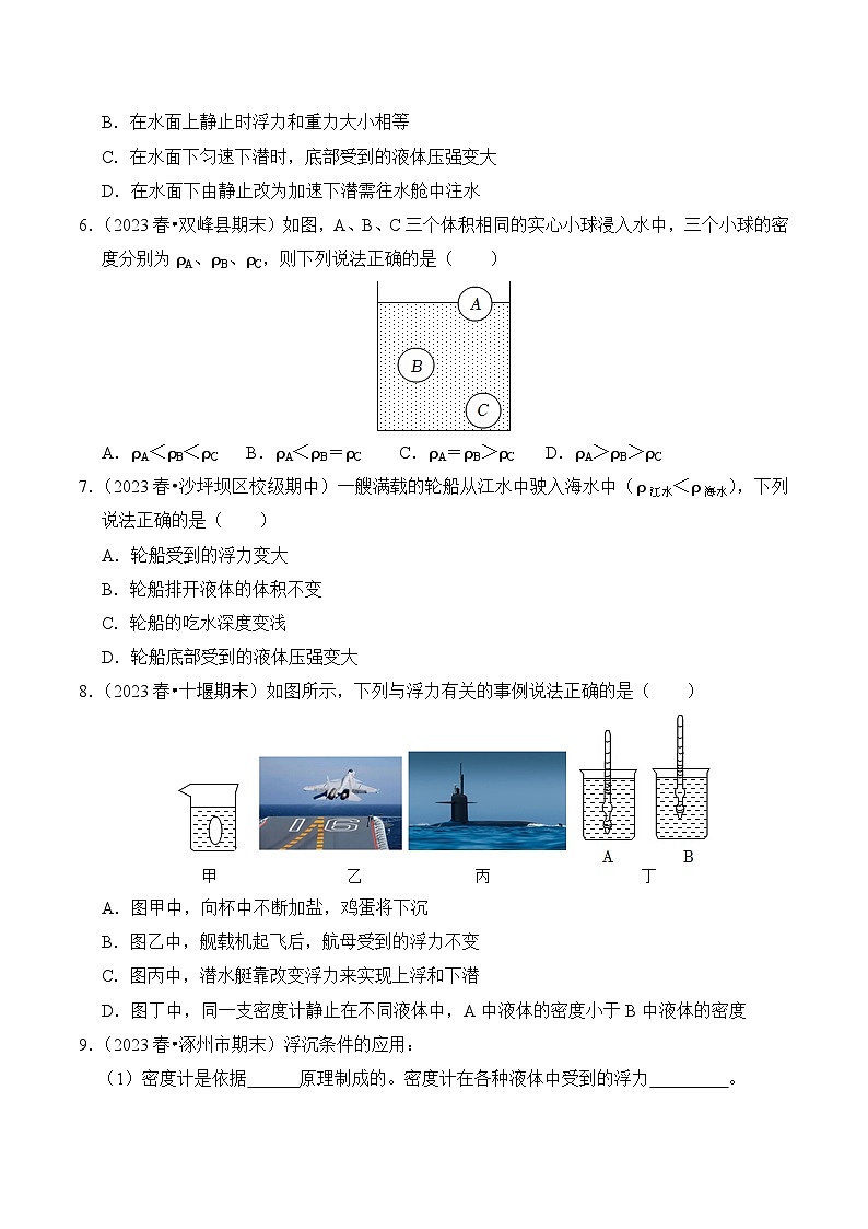 2023-2024学年八年级下册物理人教版10.3 物体的沉浮条件及应用（基础+能力）练（含解析）第2页