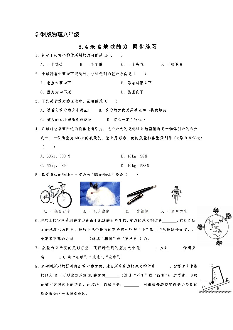 6.4来自地球的力同步练习（解析版）2023－2024学年沪科版物理八年级下册第1页