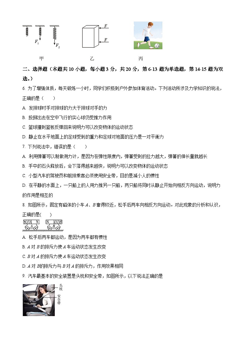 精品解析：河南省漯河市城区第二实验中学2022-2023学年八年级下学期3月月考物理试题（原卷版）第2页