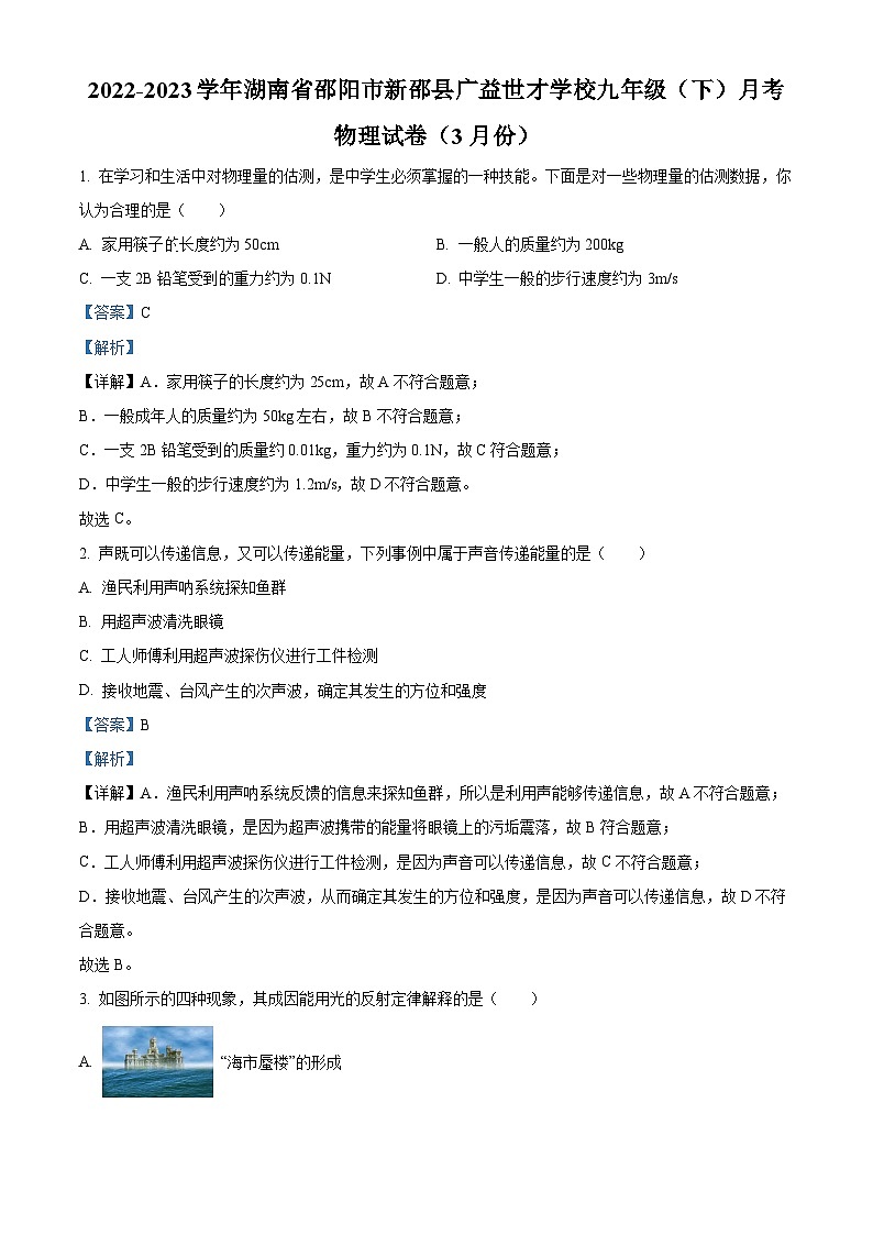 湖南省邵阳市新邵县广益世才学校2022-2023学年九年级下学期3月月考物理试题（原卷版+解析版）01