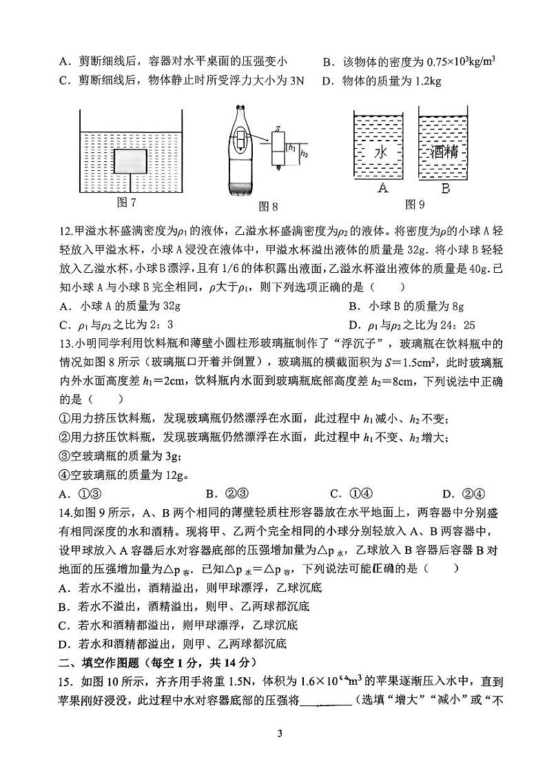 重庆八中2023-2024学年八年级下学期阶段性考试物理试题第3页