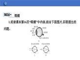 6.4+眼睛和眼镜++课件+2023-2024学年物理北师版八年级下册