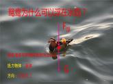 10.1浮力+++课件++-2022-2023学年人教版物理八年级下册
