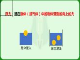 10.1浮力课件+++2023-2024学年人教版八年级下册物理