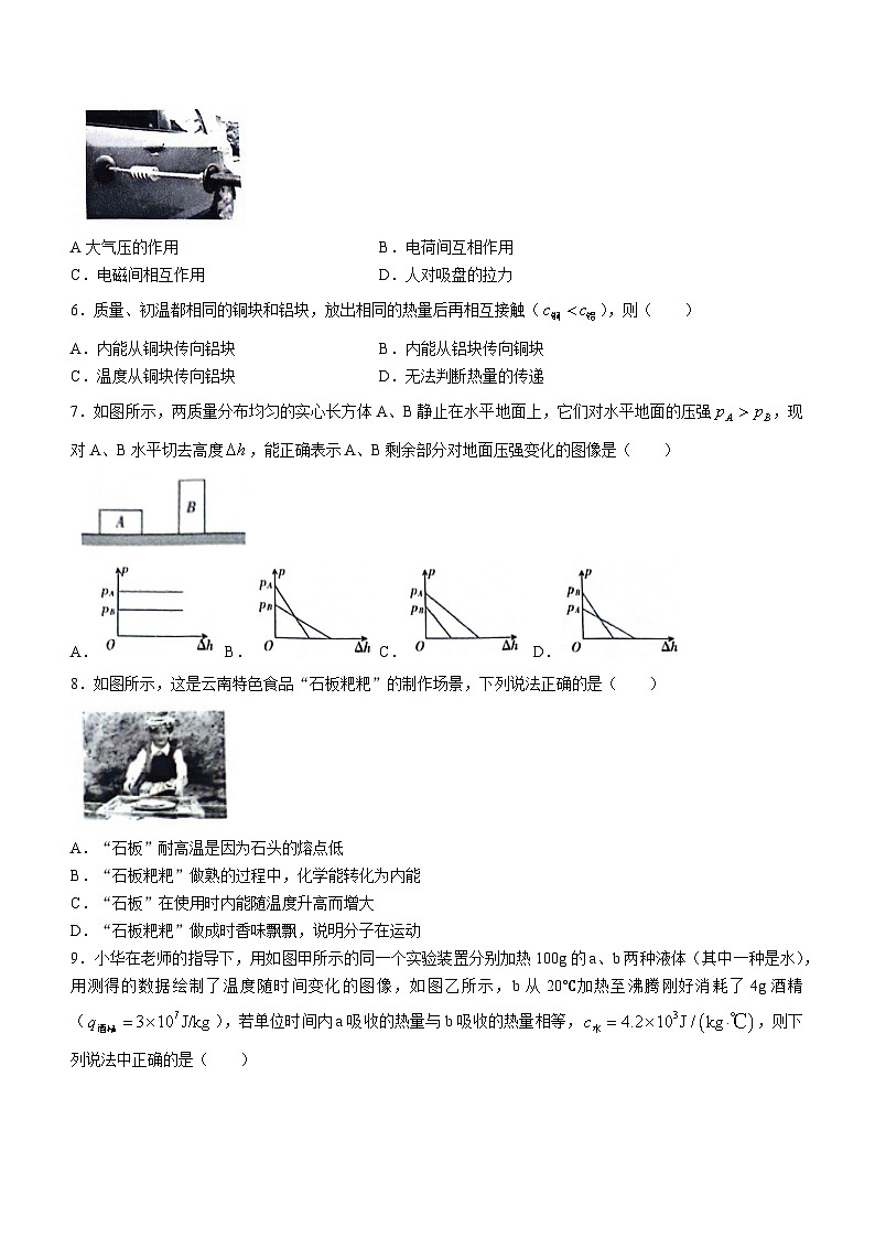 2024年云南省昭通市巧家县巧家县大寨中学中考模拟预测物理试题02