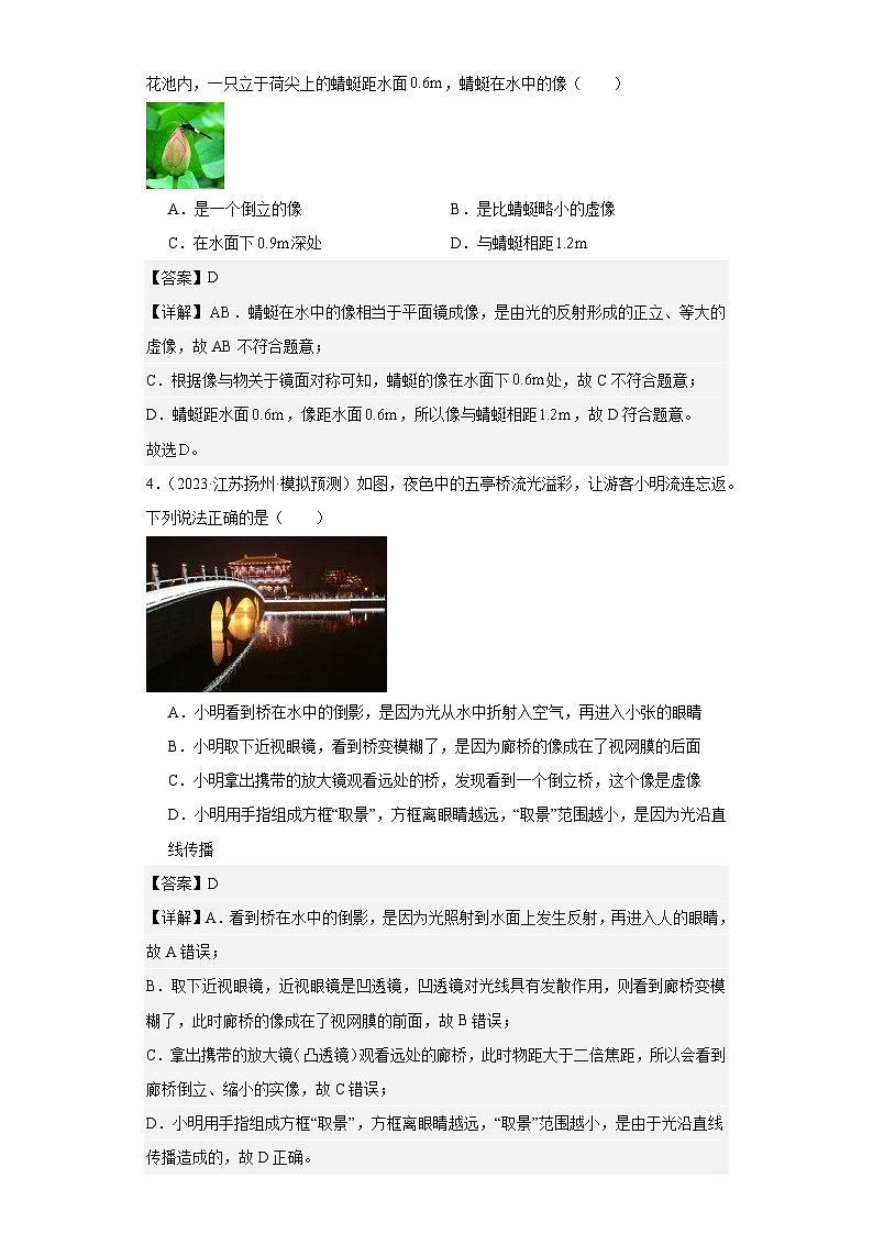 专题04光现象（解析版）第2页