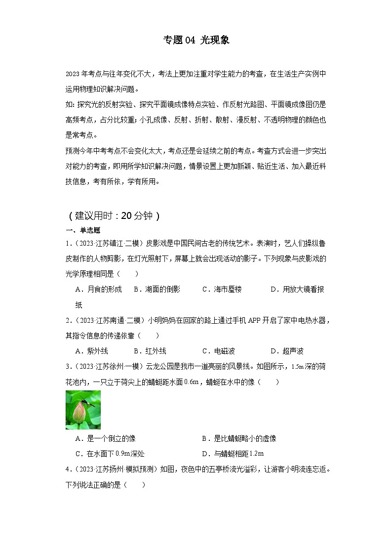 专题04光现象（原卷版）第1页