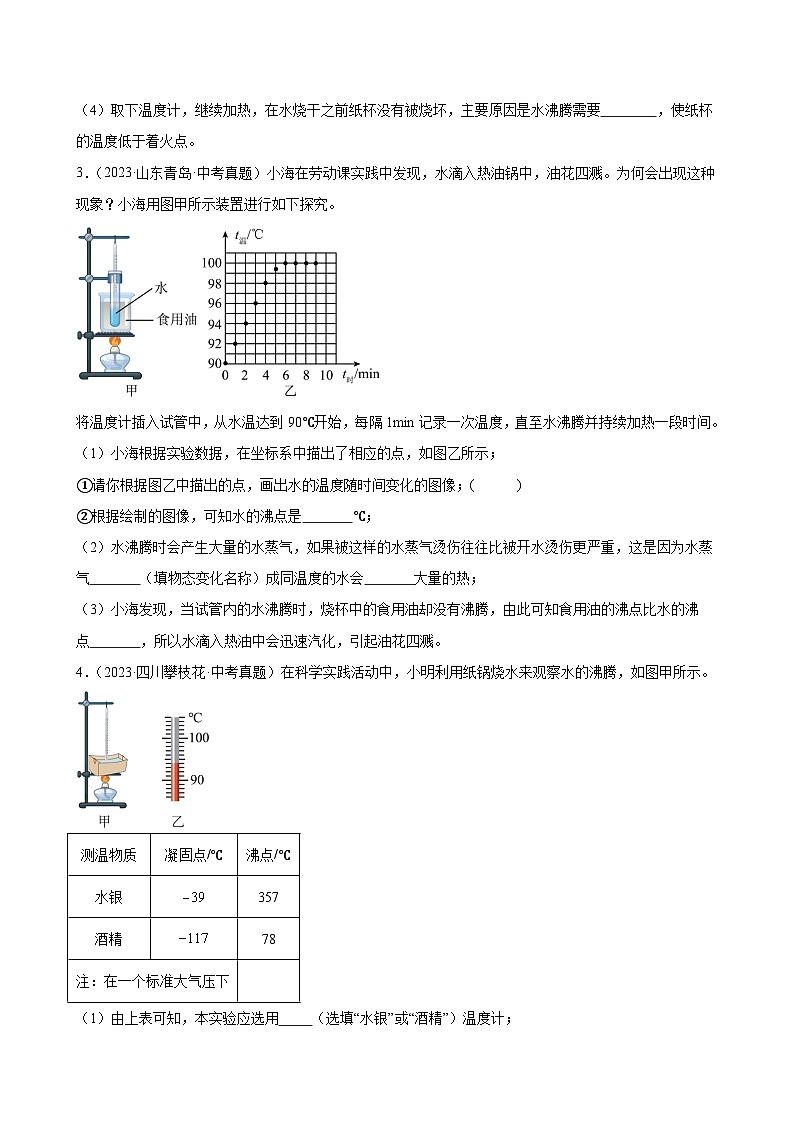 专题09教材基础实验—2024年中考物理三轮冲刺宝典（全国通用）（原卷版）第2页