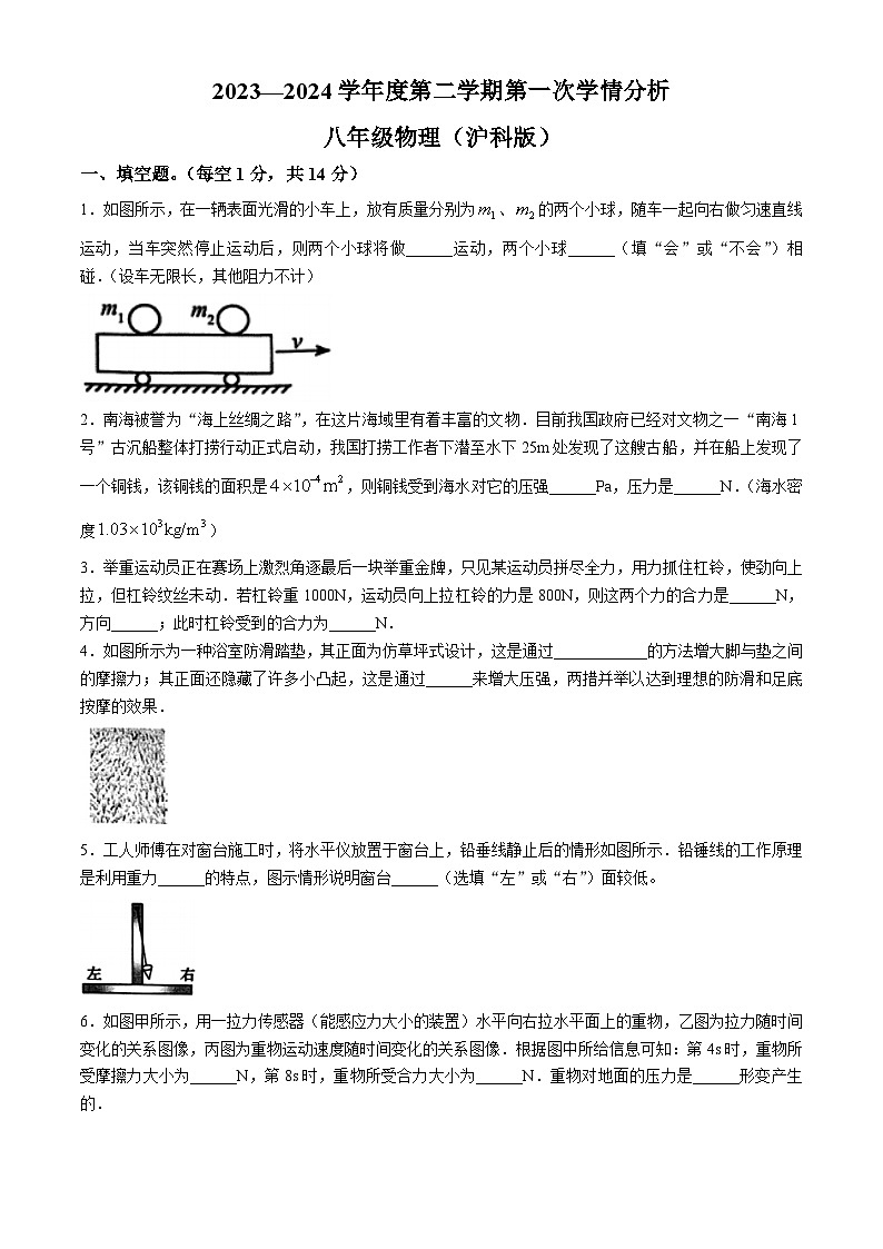 河南省周口市鹿邑县2023-2024学年八年级下学期3月月考物理试题01