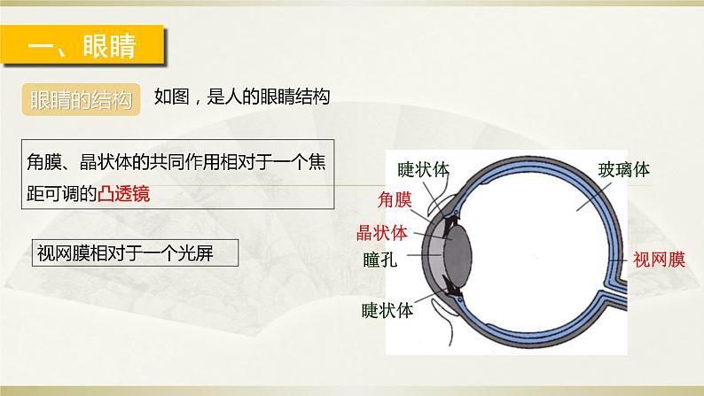 人教版物理八年级上册 4 眼睛和眼镜 课件03