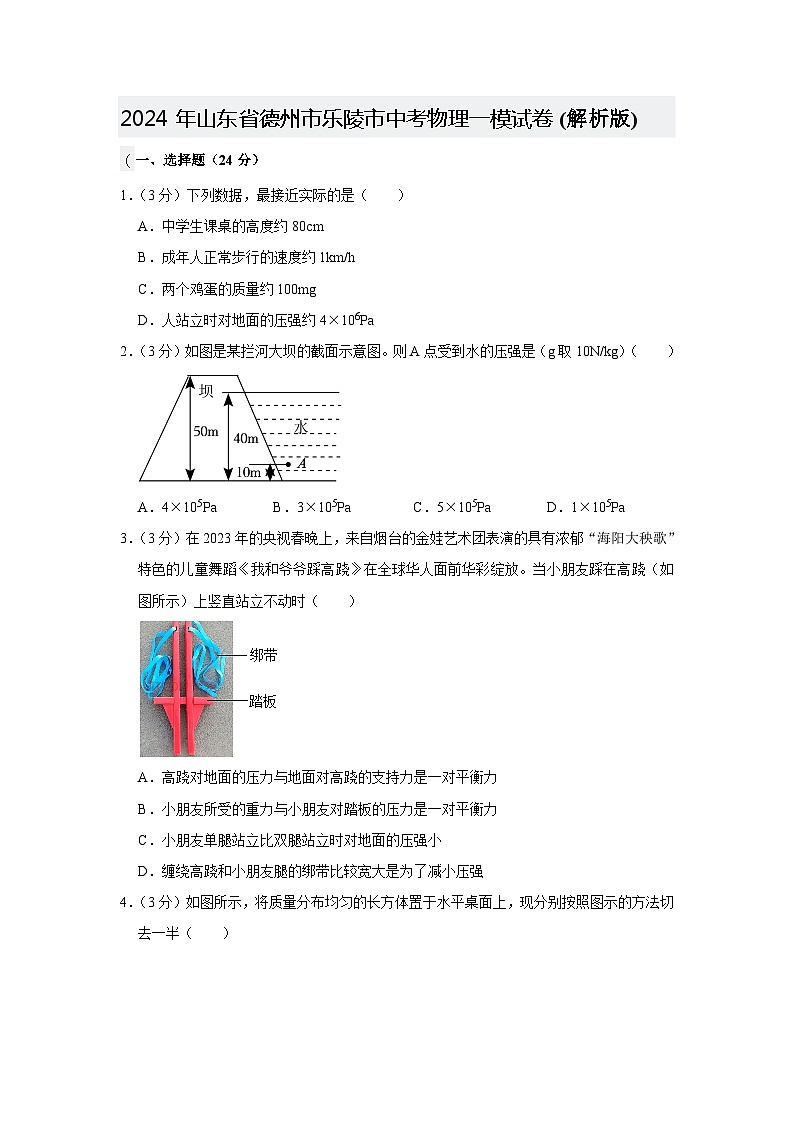 2024年山东省德州市乐陵市中考物理一模试卷01