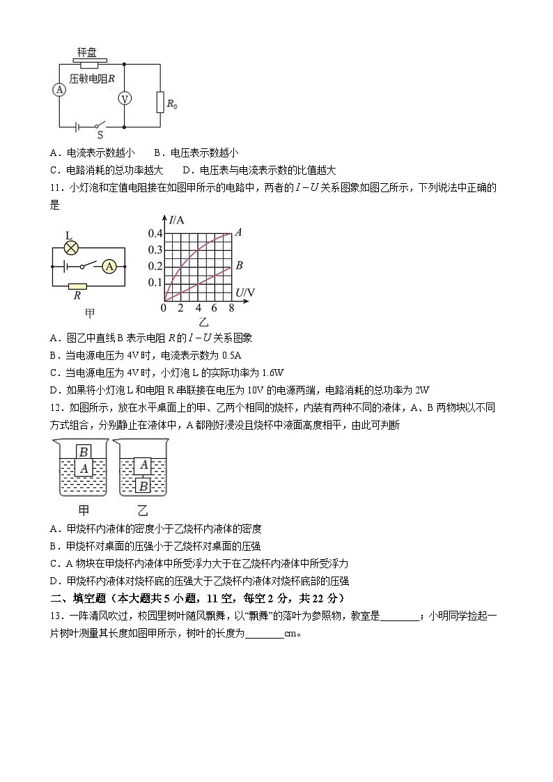 2024年湖南省长沙市青竹湖湘一外国语学校中考物理一模试卷第3页