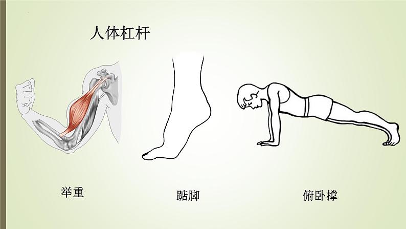 10.1科学探究：杠杆的平衡条件课件2023－2024学年沪科版物理八年级下册06