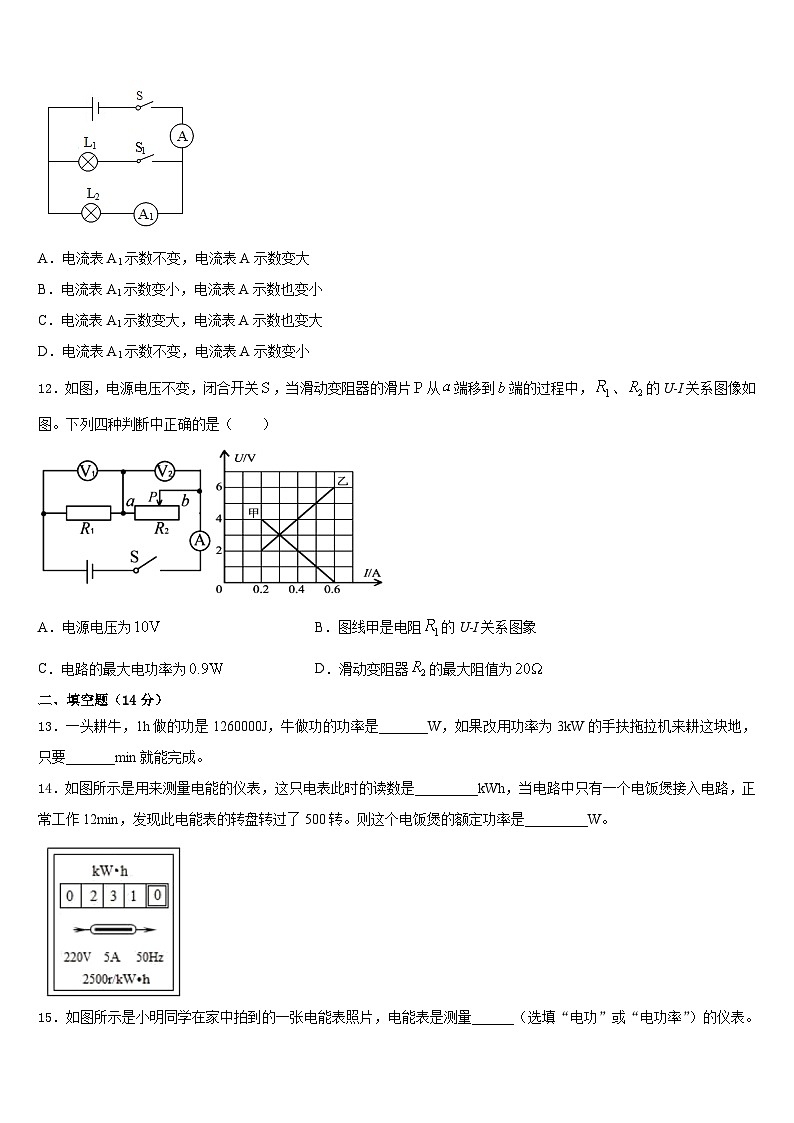 福建省三明市大田县部分中学2023-2024学年九年级物理下学期期末达标检测试题03