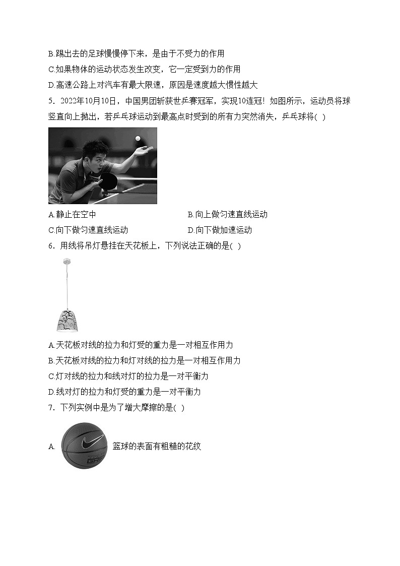 湖南省常德市鼎城区2022-2023学年八年级下学期期中物理试卷(含答案)第2页