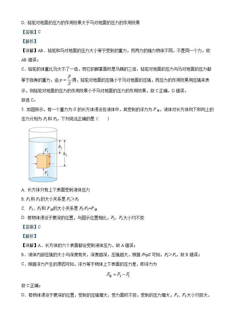 广东省茂名市电白区八年级2022-2023学年下学期期末物理试题03